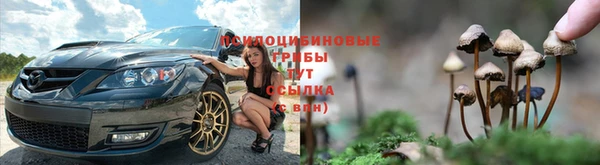 ALPHA-PVP Осинники